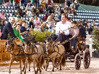 chester weber holidays