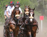 Chester Weber Wins Prestigious Live Oak International chester weber live oak