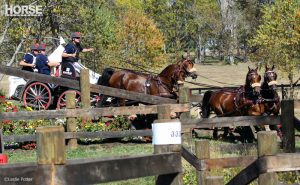 Watch the Live Oak International CDE and Grand Prix online this weekend