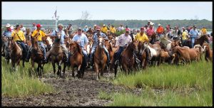 The Chincoteague Pony Penning