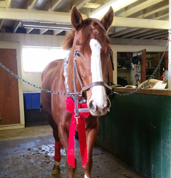 What Happens at the Barn…