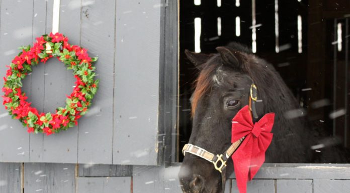 christmas decoration