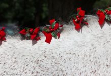 Christmas horse braids