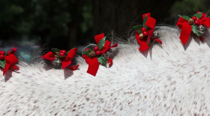 Christmas horse braids
