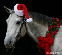christmas horse