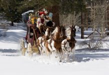 christmas stagecoach