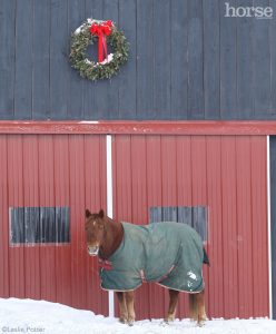 The Horse Owner’s Christmas Letter