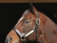 Kentucky Horse Park Opens for Its 31st Season cigar khp