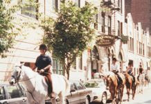 New York Stables Closed claremont