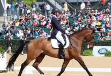 Dressage Wraps Up at the 2017 Rolex Kentucky Three-Day Event clark montgomery loughan glen dressage