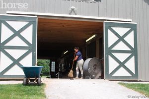 10 Ways to Banish Flies from the Barn