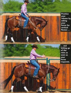 Ask the Expert: Respect at the Lope