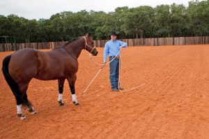 Clinton Anderson: The Sending Exercise