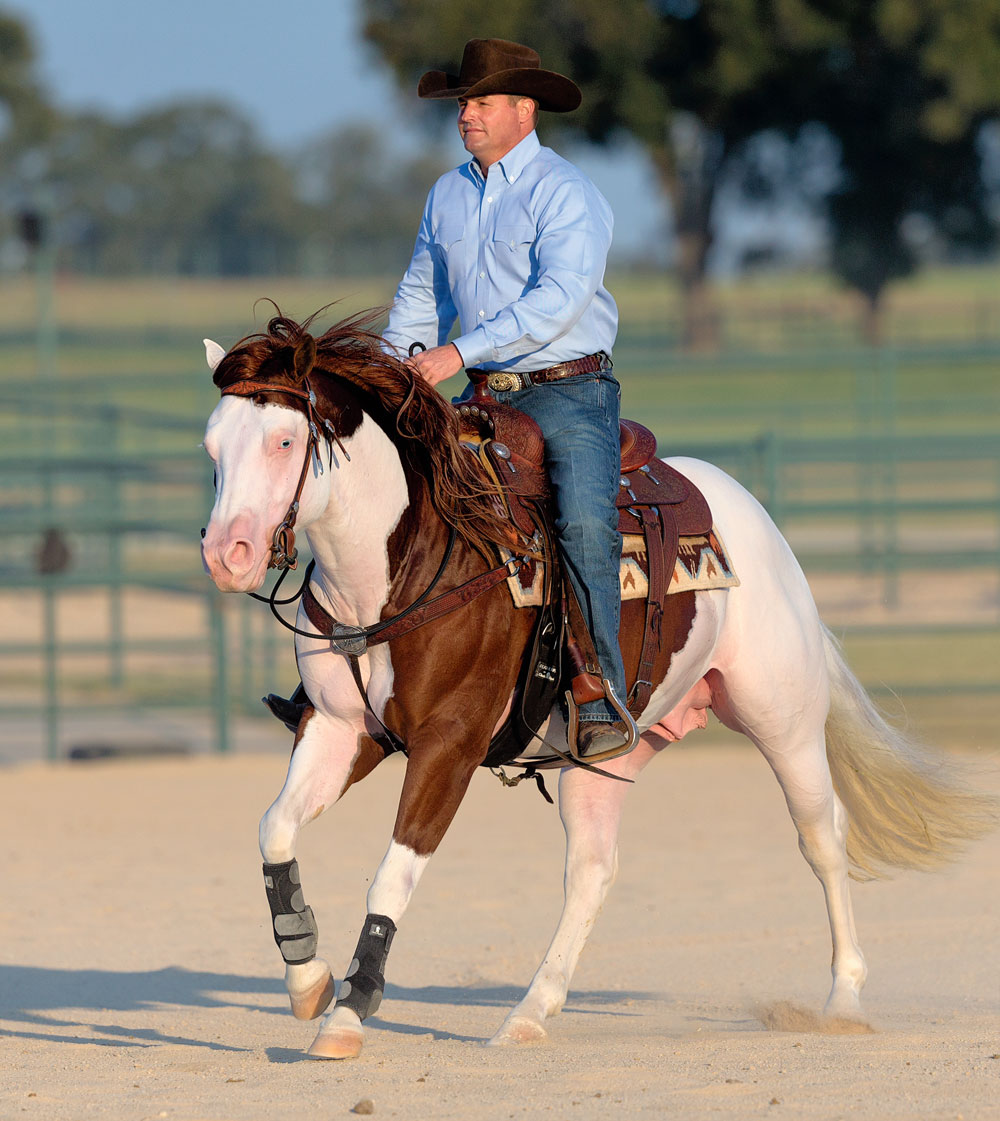 Clinician Clinton Anderson riding Titan