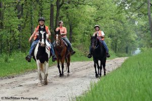 An Introduction to Competitive Mounted Orienteering