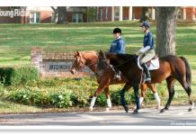 college equestrians yr