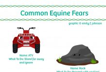 common equine fears