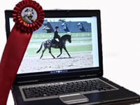 computer horse show