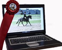 computer horse show