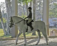 Ninth Annual Challenge of the Americas Benefits Breast Cancer Research cota