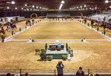 cowboy dressage court