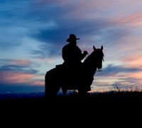 cowboy silhouette