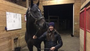 Zenyatta’s first colt, coming soon to the hunter/jumper circuit