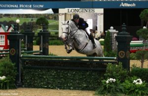 Meet Your 2016 Horses and Equestrian of the Year