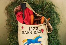 craft barn bag