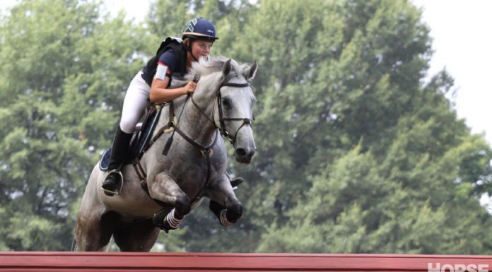 cross country armband