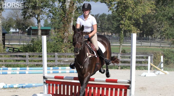 cross country concepts