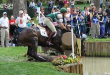 cross country foam log