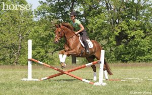 When Can a Young Horse Start Jumping?