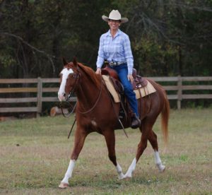 The Things Trainers See