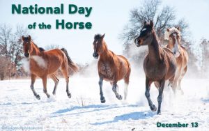Celebrate National Day of the Horse – December 13