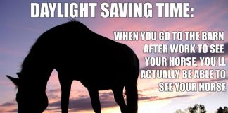 daylight saving time