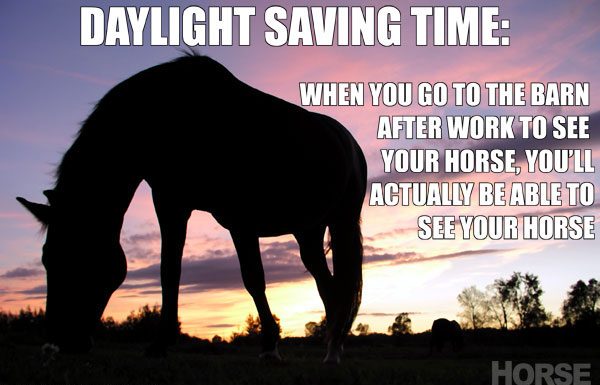 daylight saving time