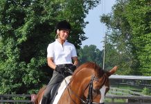 debbie rodriguez dressage