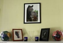 decorating with horse photos