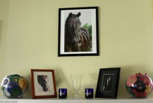 4 Tips for Displaying Your Horse Pictures