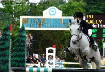 Updates to the Historic Devon Horse Show devon horse show ballymac