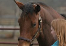 You Can Support Innovation in Equine Parasite Control deworming horse