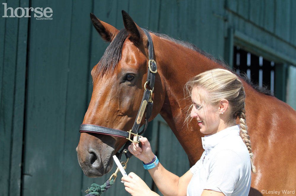 Test Your Deworming IQ