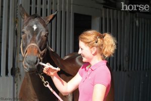 The New Equine Deworming Rules