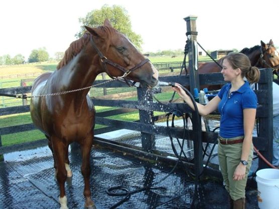 9 Things I Wish my Horse Would Stop Doing