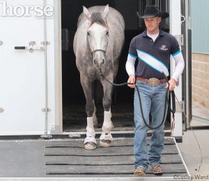 Solve Your Horse’s Trailer Loading Troubles