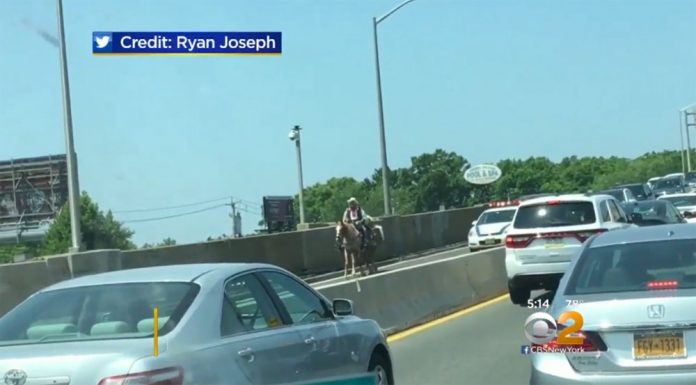 mishler outerbridge crossing