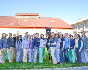 Horse Receives Honorary Degree from UC Davis