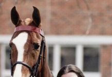 9 Things I Miss About Being an Equestrian Science Student dragon
