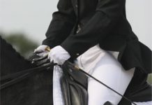 dressage